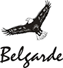 Belgarde Property Services, Inc.