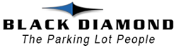 Black Diamond Group, Inc.