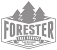 Forester Tree Service
