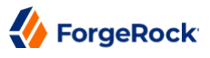 ForgeRock US, Inc.