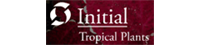 Initial Tropical Plants