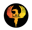 LAE Consulting Inc