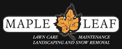 Maple Leaf Inc.