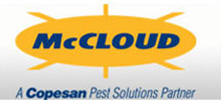 McCloud Services