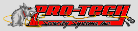 PRO-TECH SECURITY SYSTEMS INC.