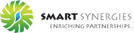 Smart Synergies, Inc.