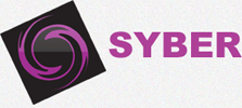 Syber Enterprise Group Inc.
