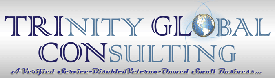 Trinity Global Consulting