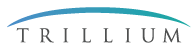 Trillium Solutions Group, Inc.