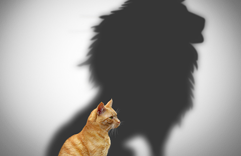 Career Challenges: Do You Have The Heart of a Lion?